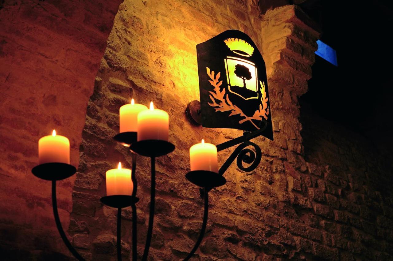 Palazzo Viviani Castello Di Montegridolfo Hotel Екстериор снимка